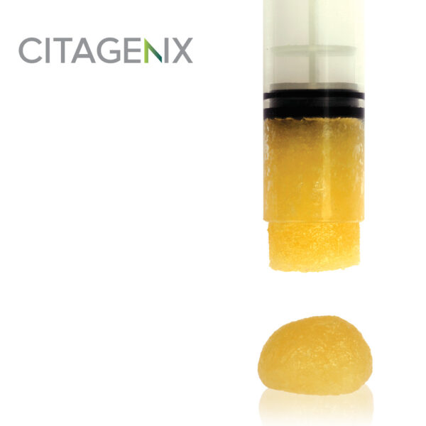 C-Graft Putty .5cc DBM Syringe - Image 3